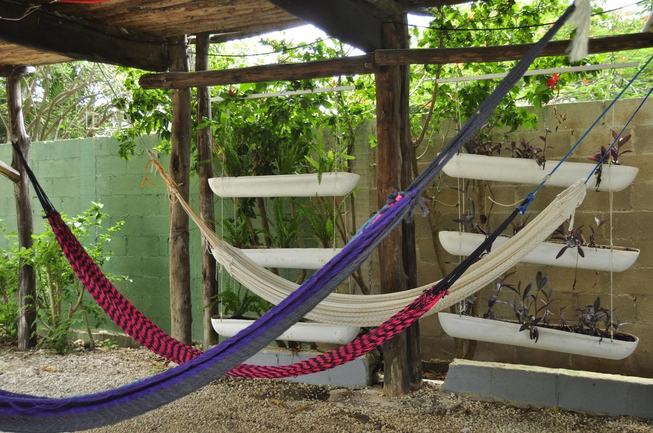 Lobo Inn Tulum Exterior foto